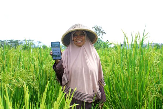 A farmer using the AgriAku app