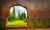 Photo of a verdant garden glimpsed through a jagged hole in a brick wall taken in Latina, Italy