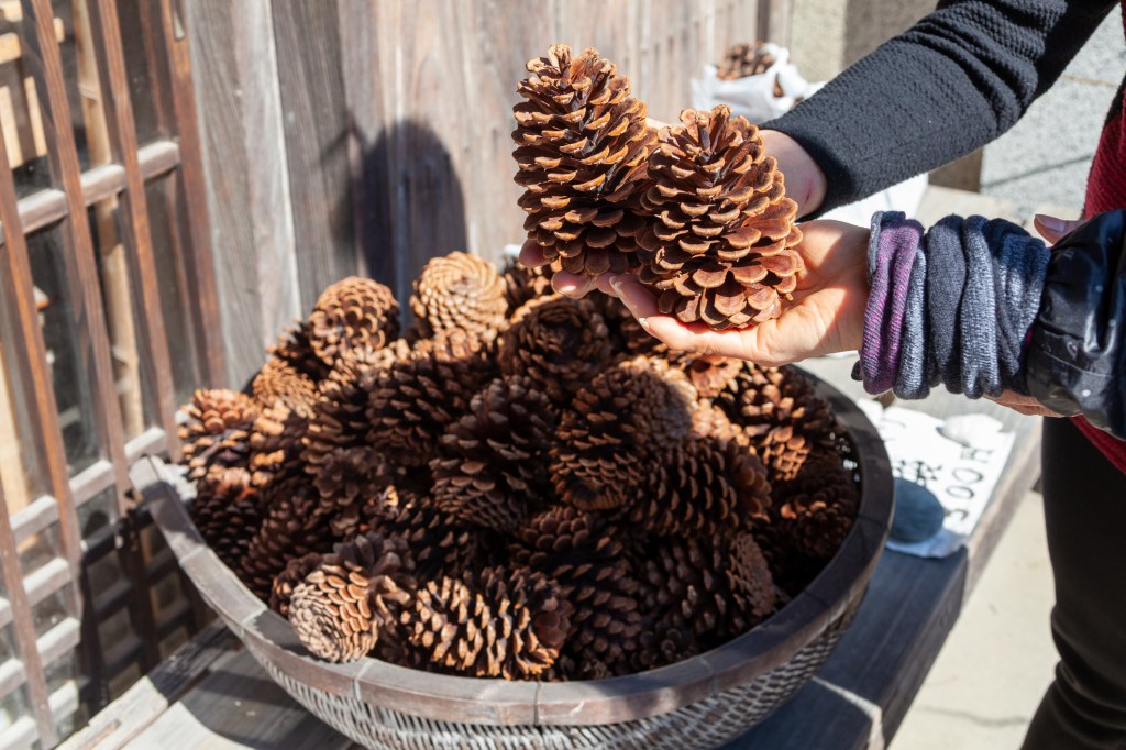 Bowl of pinecones
