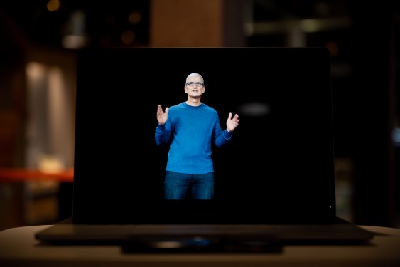 Tim Cook
