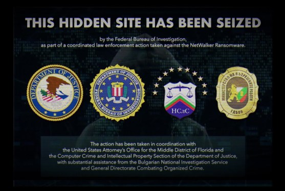 A photo of the seized dark web site used by the Netwalker ransomware group.