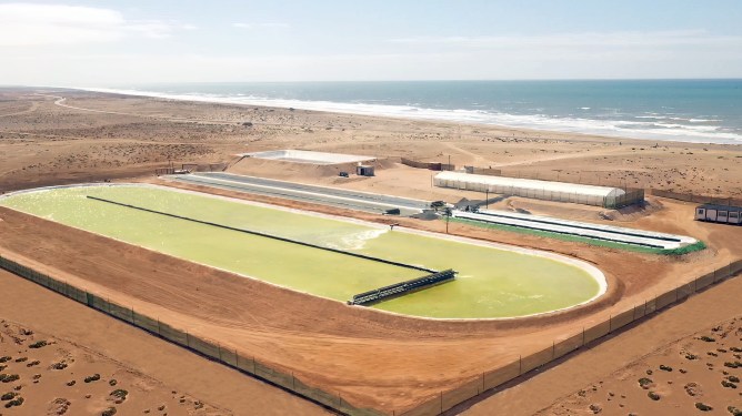 Aerial view of a large algae farm in a desert