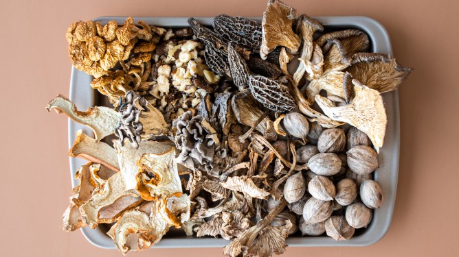 Foraged, mushroom