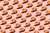 shrimps