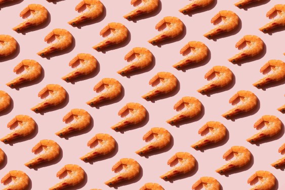 shrimps