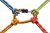 four ropes knotted to a carabiner