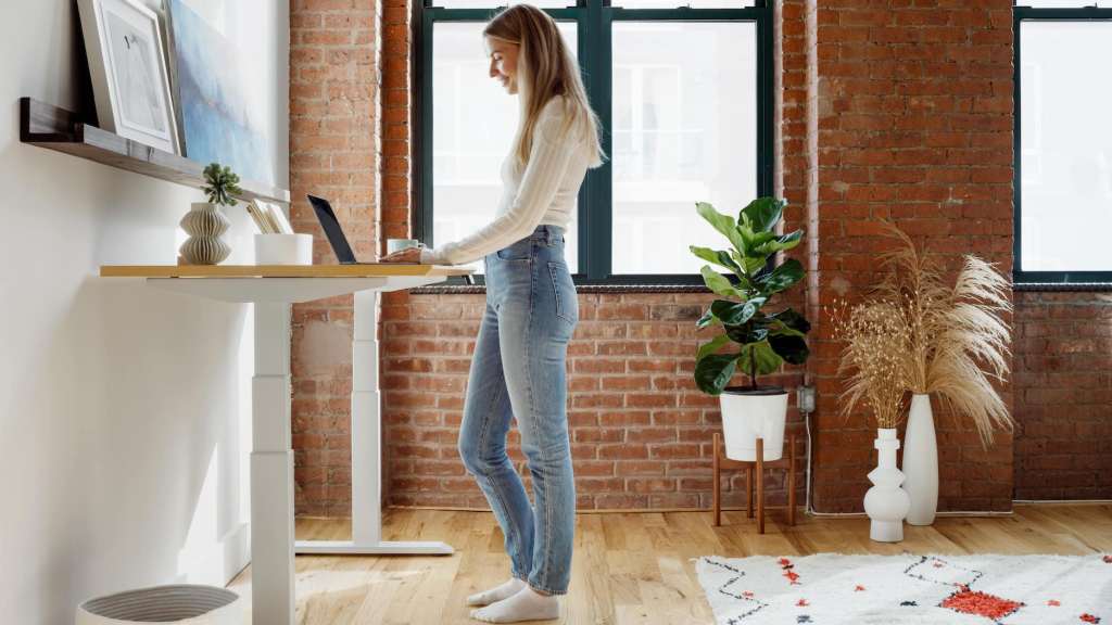 Branch, work from home, furniture