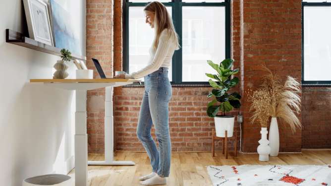 Branch, work from home, furniture
