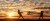 Silhouette of two girls pulling rope with a dollar sign dollar against a sunset background.