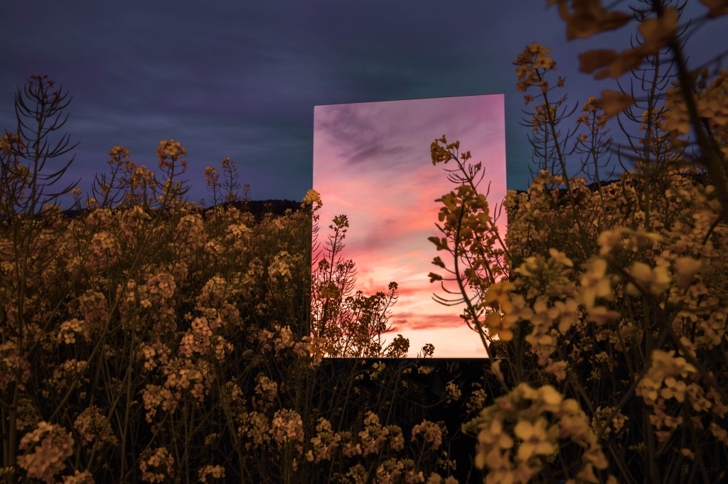 Image of a square mirror reflecting a landscape.
