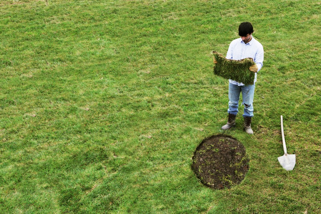 Man with square turf to lay in round gap on lawn