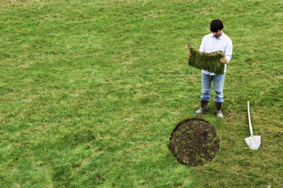 Man with square turf to lay in round gap on lawn
