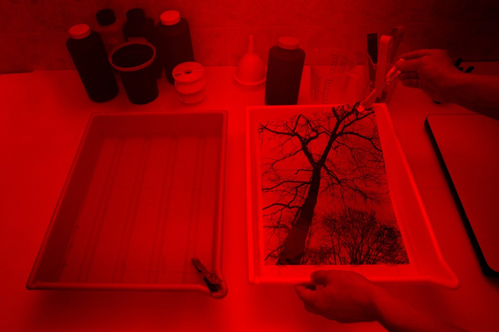 darkroom photos