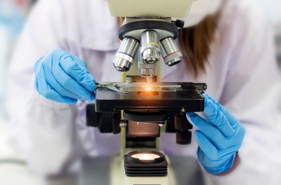 Science concept; Experimental scientists in chemical laboratory. Development and scientific research in laboratory, used in a post about Florence Healthcare