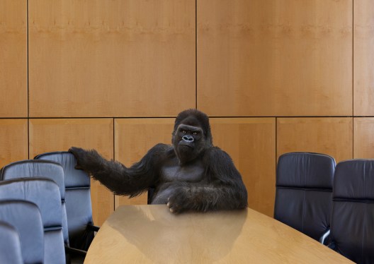 A menacing gorilla sits at the head of the boardroom table and beckons the viewer to sit next to him.