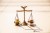Close-Up Of Coins On Weight Scale; recalculate 409A valuations