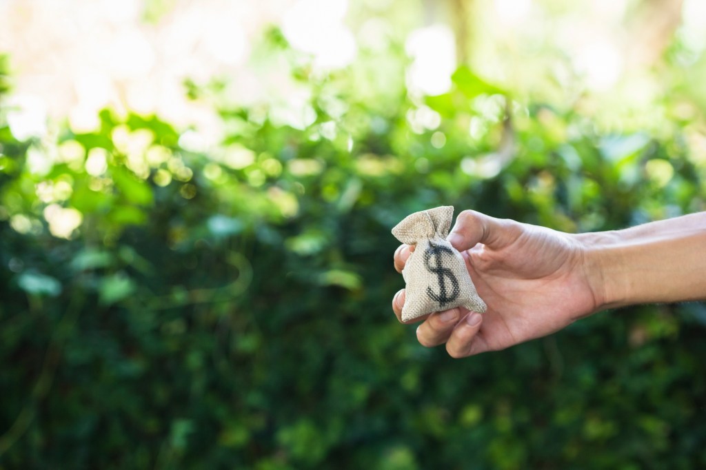 Close-Up Of Hand Holding a small Sack With Dollar Sign Against Plants; convertible notes for startup funding