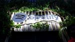 large Spotify logo surrounded by foliage