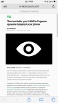 The after view in Safari, with some remote fonts not loading.