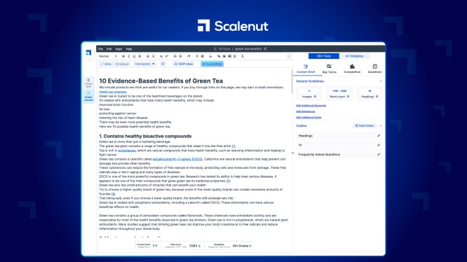 A screenshot of AI copywriter Scalenut's Editor Mode
