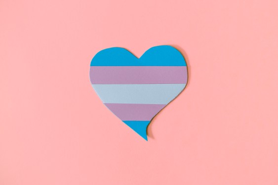 Paperboard heart with the transgender flag on a pink background