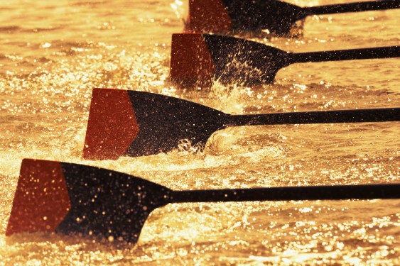 Oar blades from racing crew cutting through water; talent private capital retention