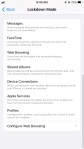 Lockdown Mode is designed to block as many routes from the internet into your device as possible.