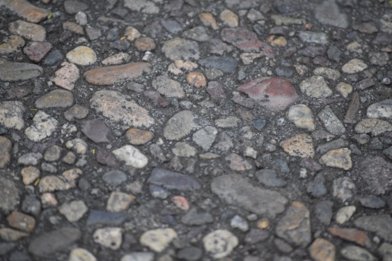Image of rocks embedded into walking path.