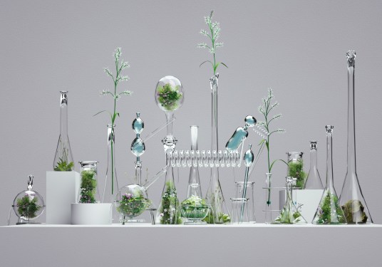 computational biology, Form Bio