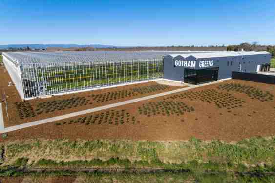 greenhouse farming