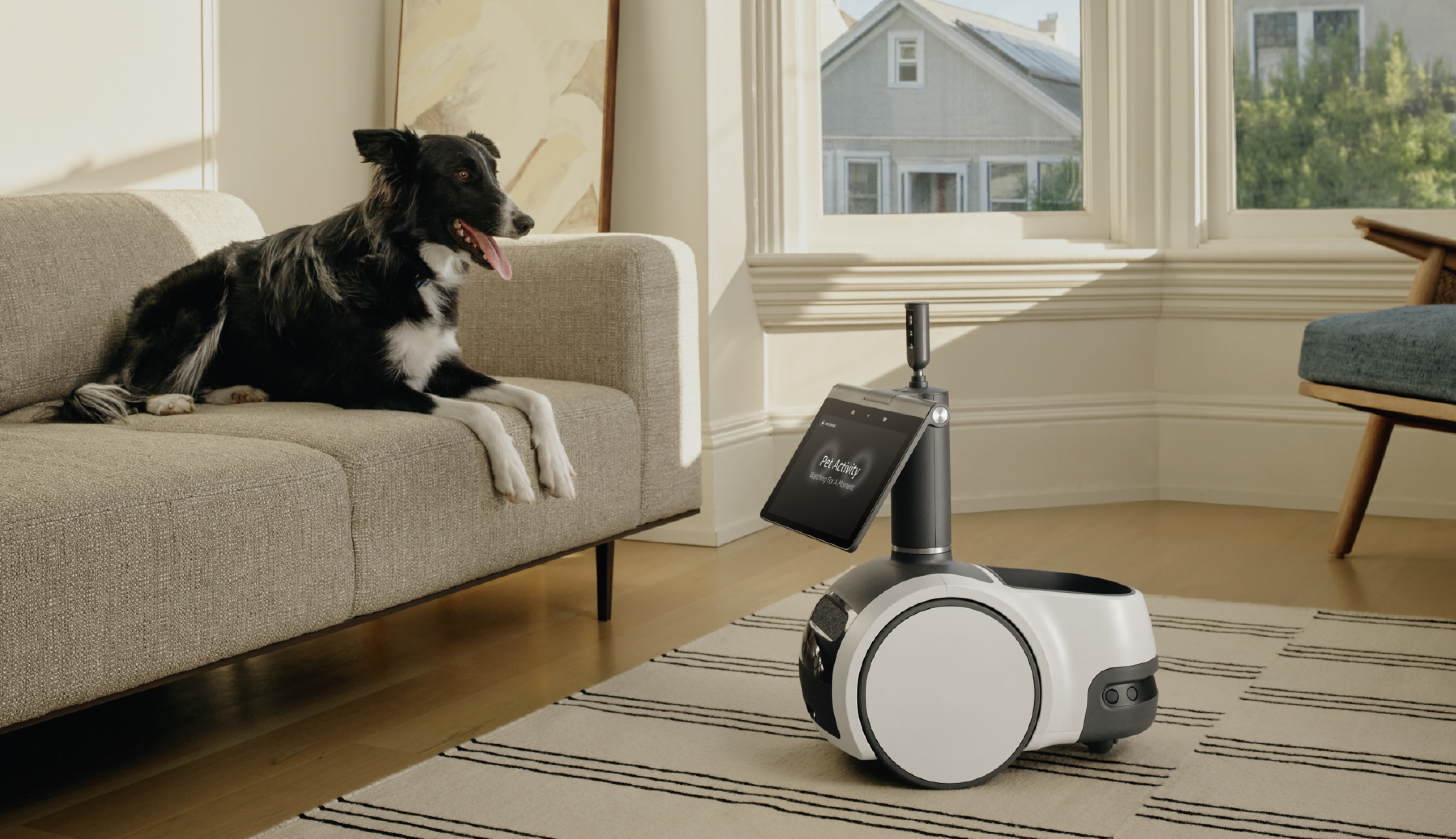 Amazon Astro in front of dog on couch