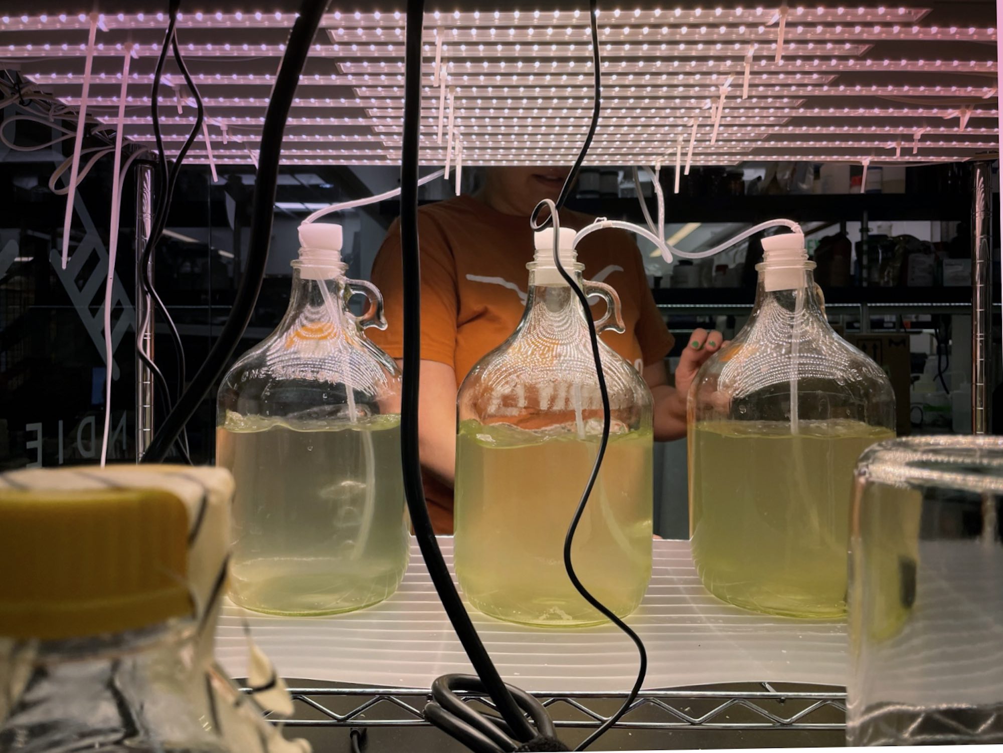 Inside the laboratory at Minus Materials.