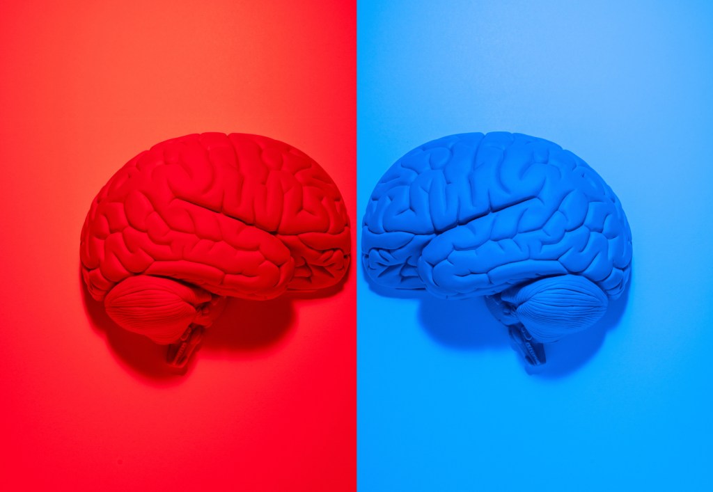 Red and blue brains facing off