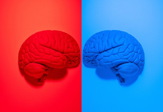 Red and blue brains facing off