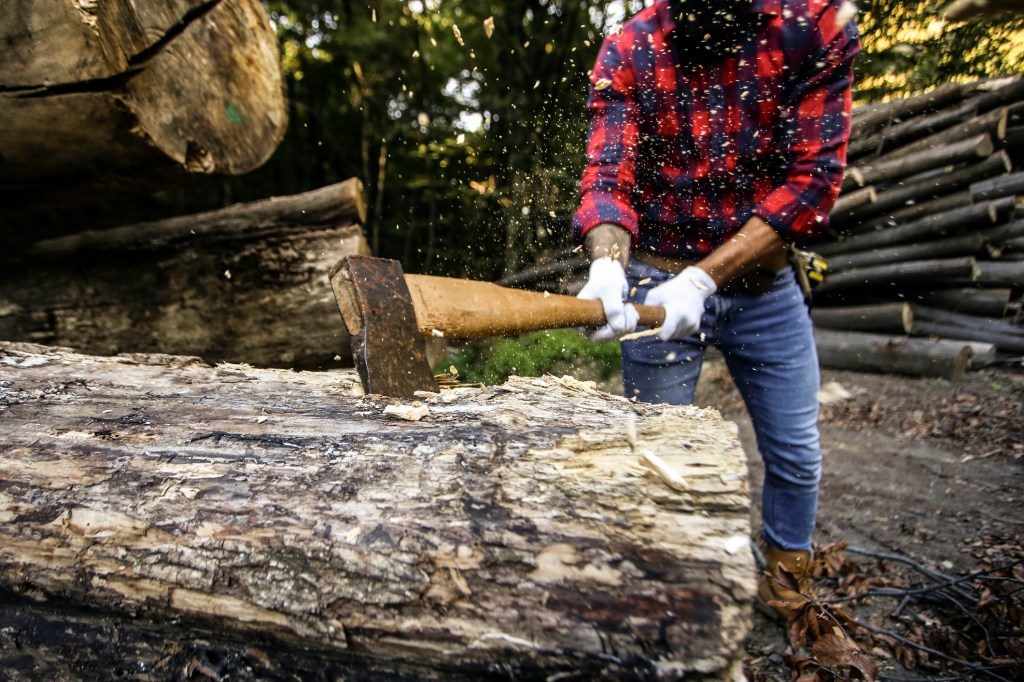 Lumberjack chopping wood