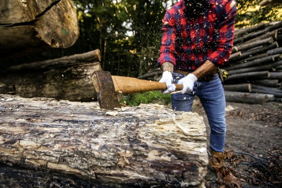 Lumberjack chopping wood