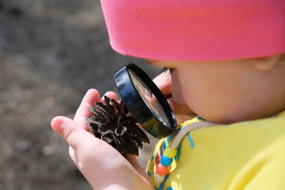 Little girl with a magnifying glass in her hand investigate details of nature . Springtime or autumn outdoor kids activity and learning concept.
