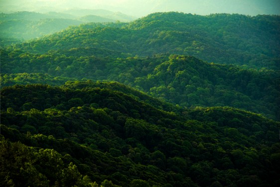 view of forested hills