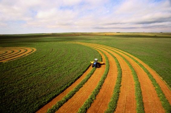 Harvesting alfalfa crop, aerial view; agtech