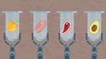 illustration of test tubes with meat, fish, avocado and paprika