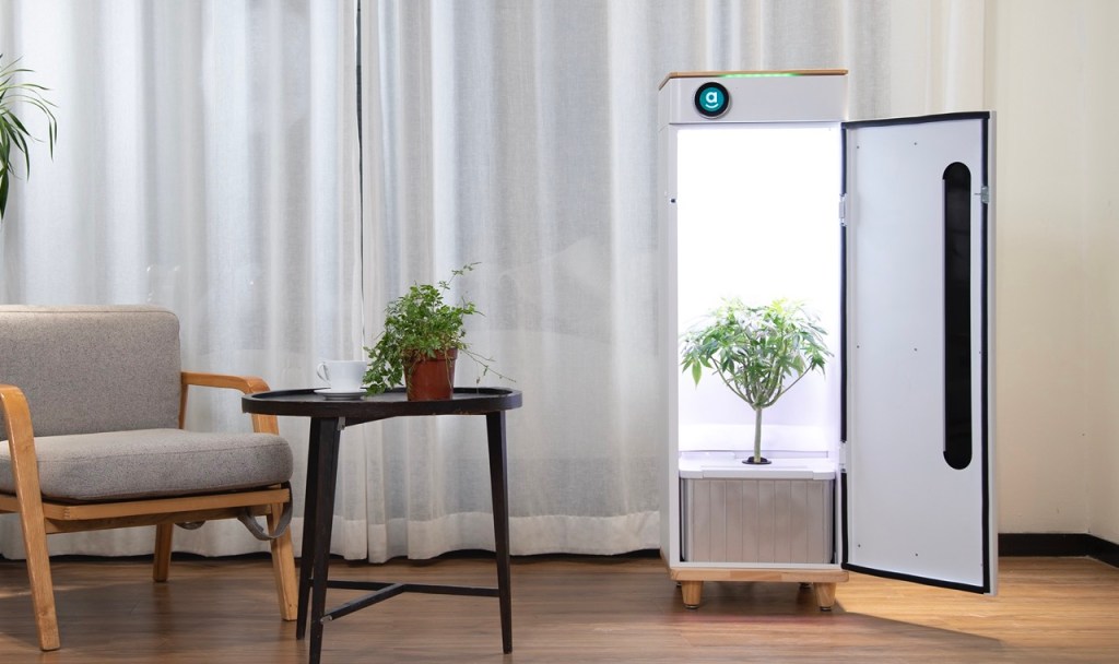 Abby hydroponic cabinet for inddor cannabis growing
