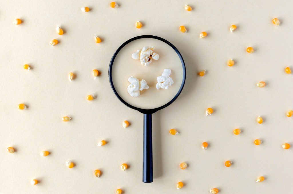 magnifying glass through which popcorn can be seen among corn
