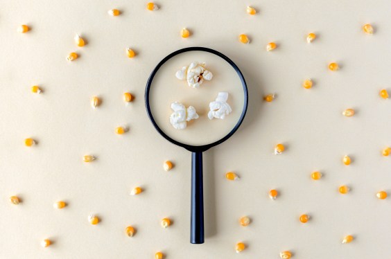 magnifying glass through which popcorn can be seen among corn