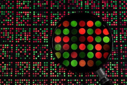 magnifying glass examining DNA chip
