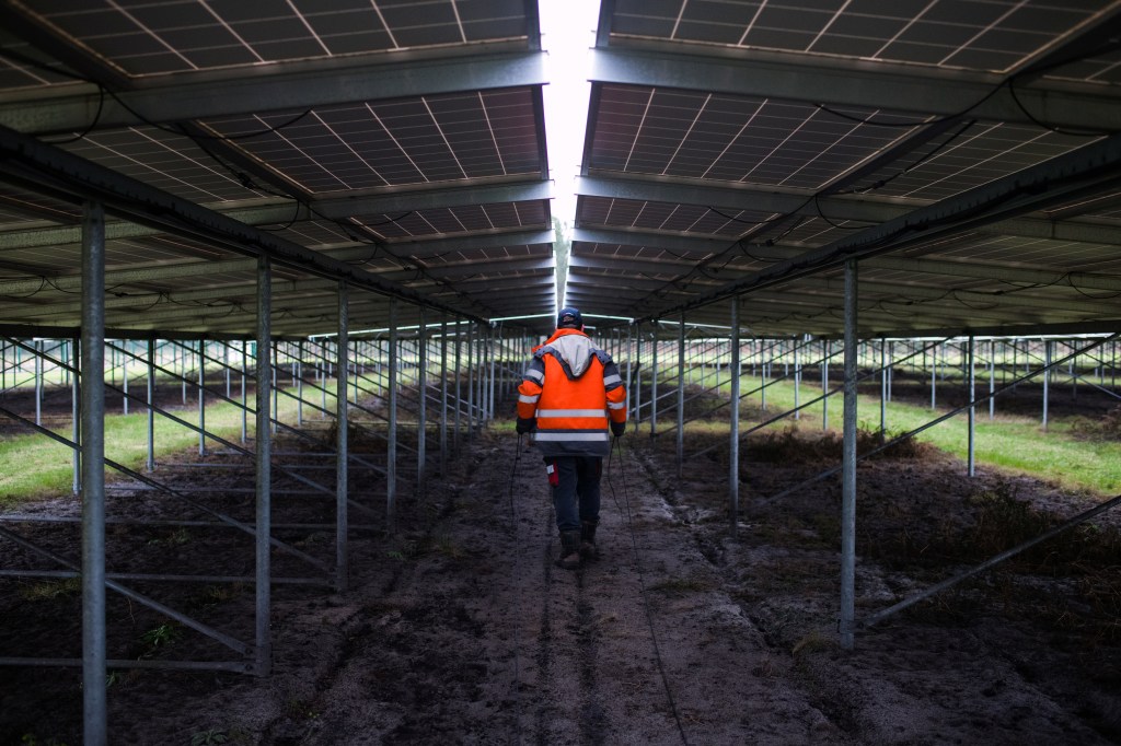 Man inspecting solar panels from underneath.