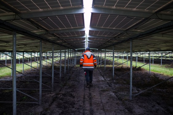 Man inspecting solar panels from underneath.