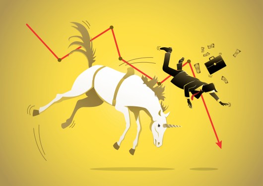 unicorn, valuation
