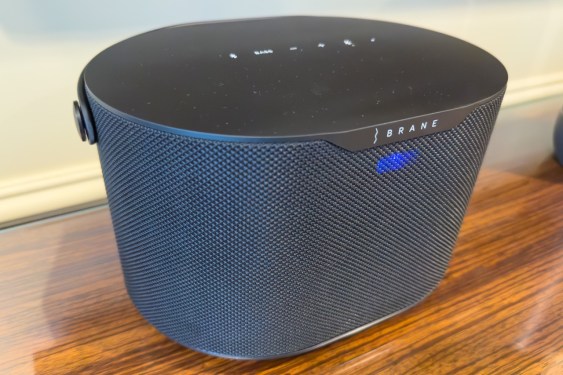 Brane speaker.