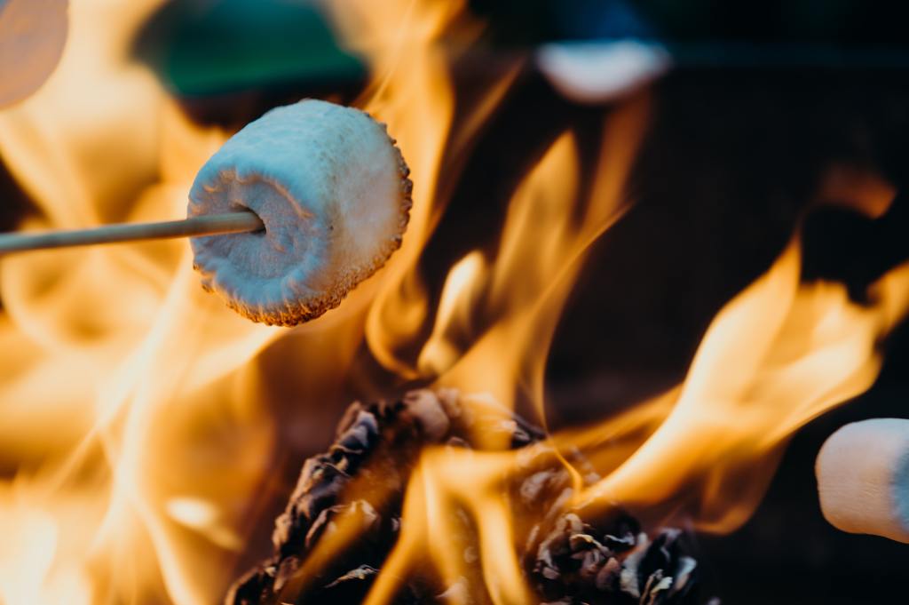 roasting a marshmallow over an open fire