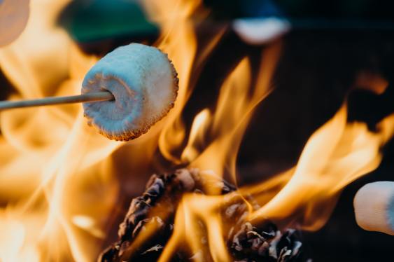 roasting a marshmallow over an open fire